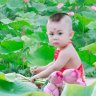 chieu